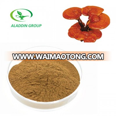 Kosher top quality organic reishi mushroom extract powder