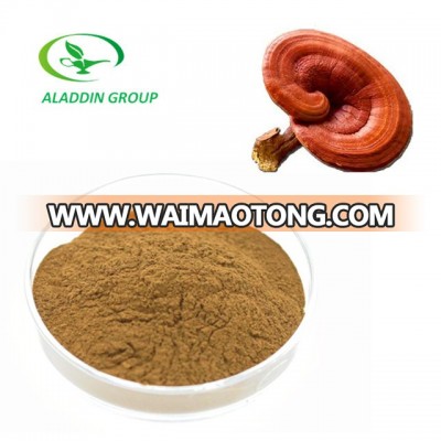 Kosher top quality lucid ganoderma extract