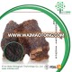 Supply Free Sample Anticancer chaga mushroom powder Beta glucan