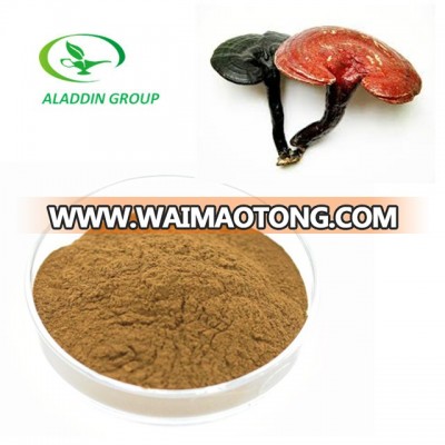 Kosher top quality lingzhi mushroom extract powder