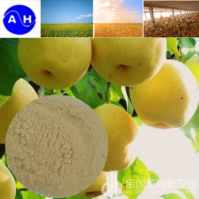 Animal Source Amino Acid Powder Factory